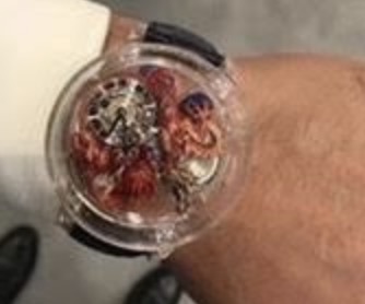 430usd for jacob co watch